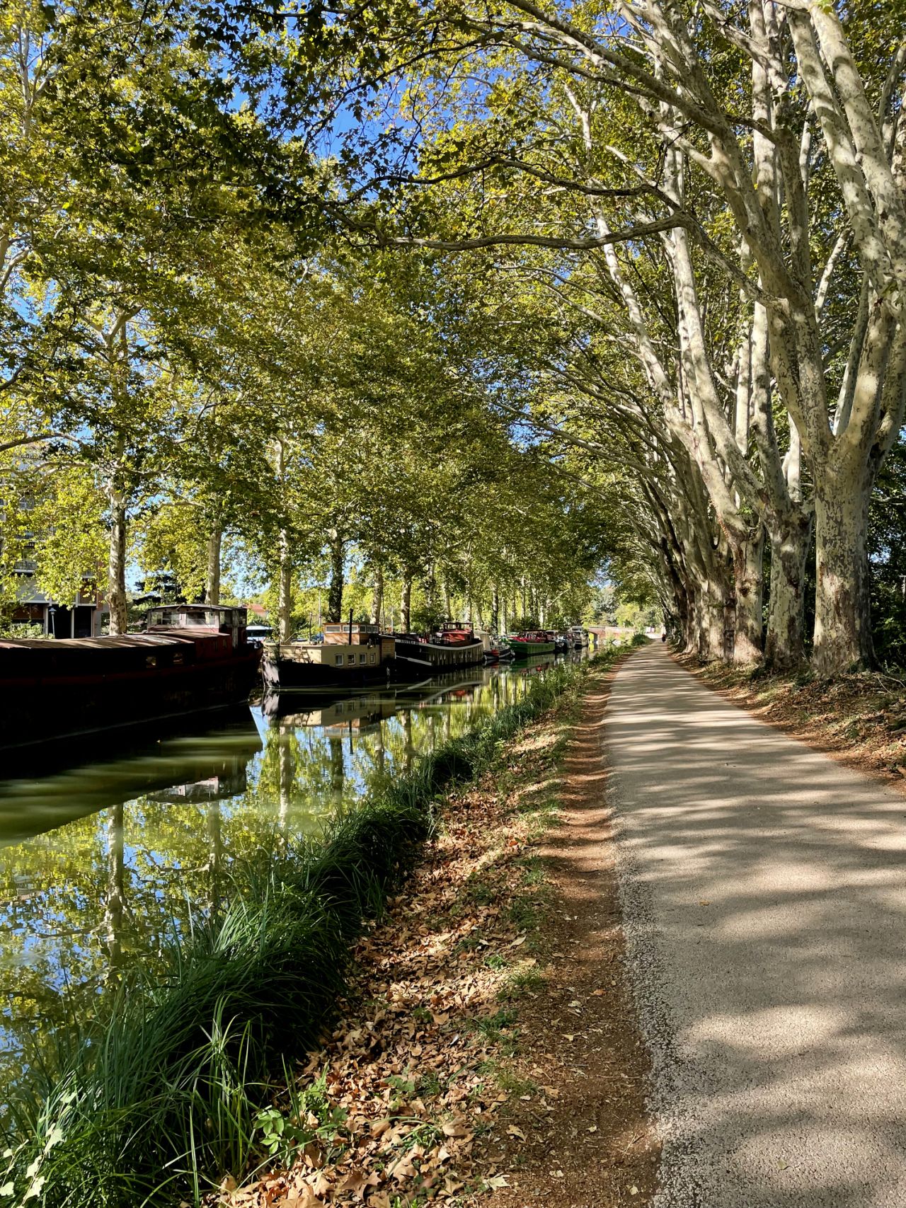 Vue des berges ombragées du canal du midi qui passe à Toulouse, à proximité du campus CPA de Toulouse.